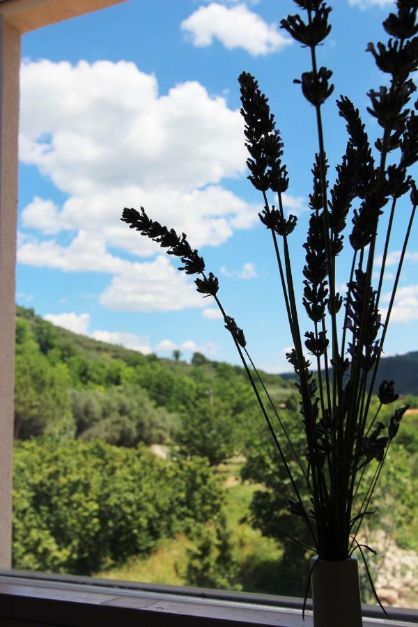 Flora * Secovlje