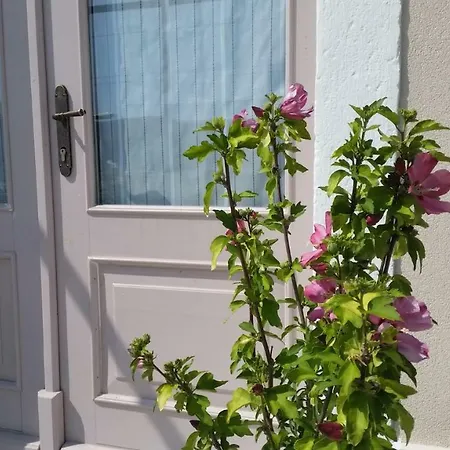 Vila Flora Secovlje Exterior photo