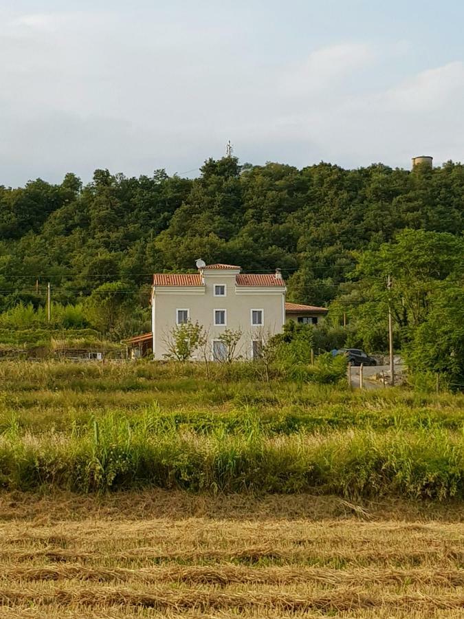 Flora Apartma