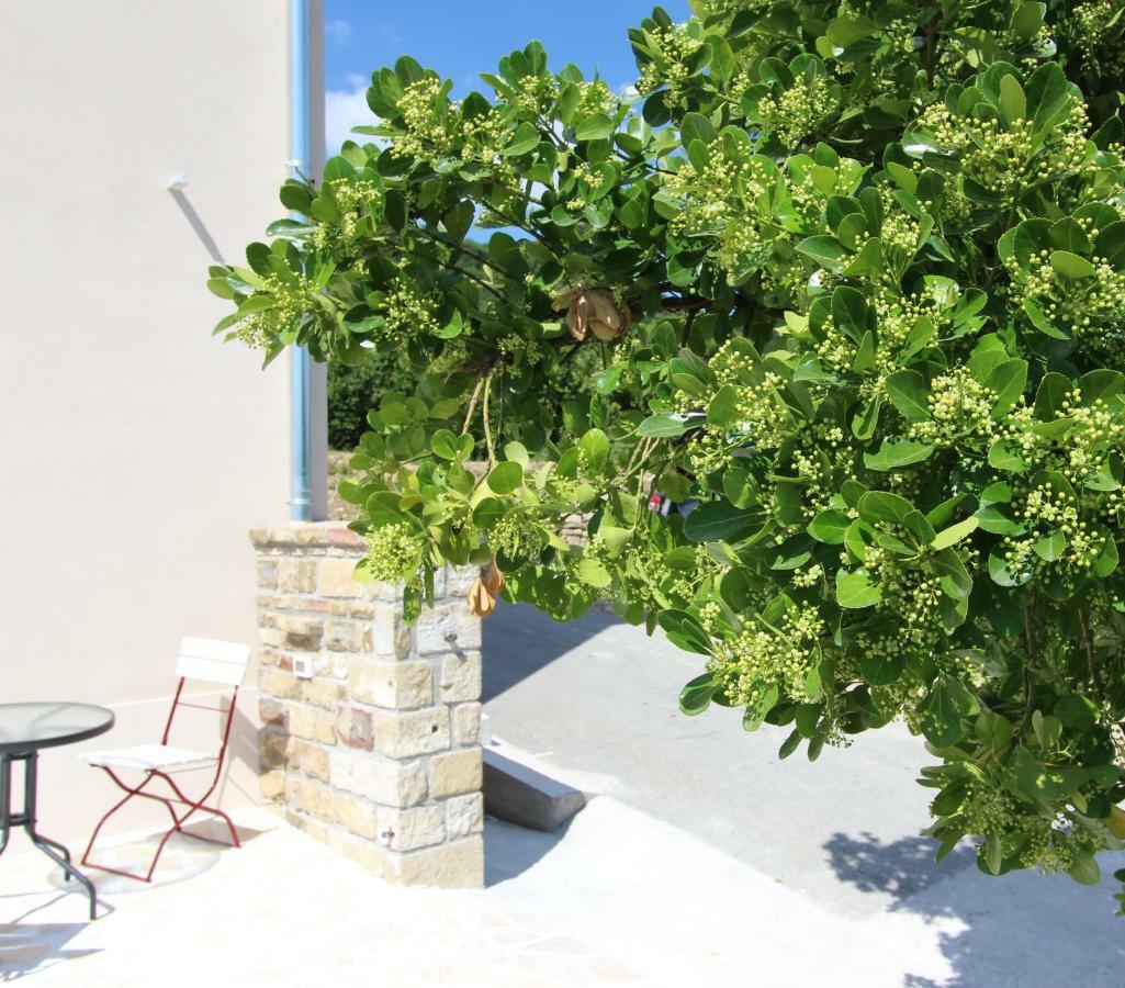 Flora Apartma